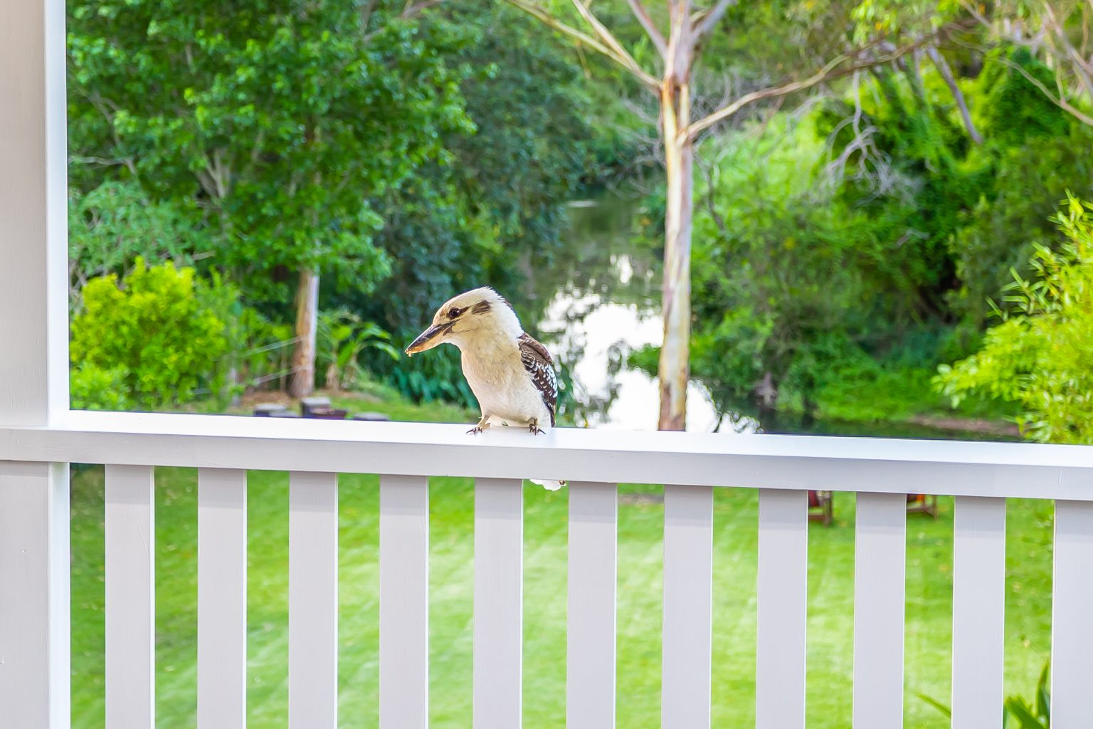 24 Praed Street, RED HILL, QLD 4059 AUS