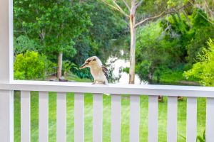 24 Praed Street, RED HILL, QLD 4059 AUS