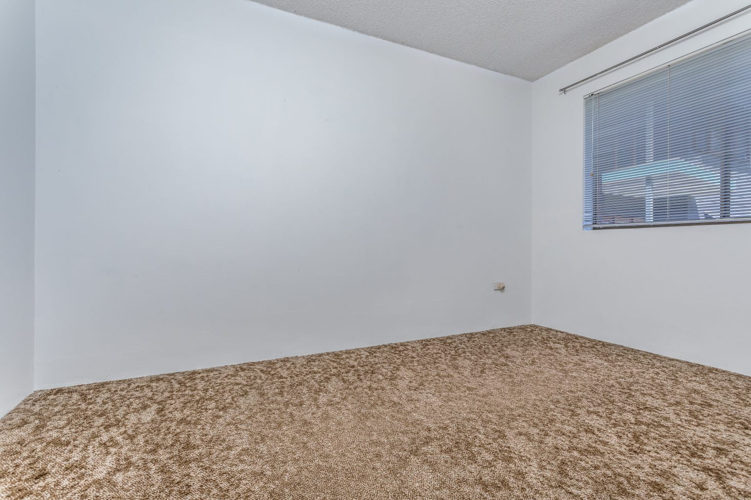 2/91 Guthrie Street, PADDINGTON, QLD 4064 AUS