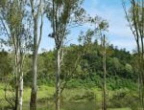 118 Skyline Drive, KHOLO, QLD 4306 AUS