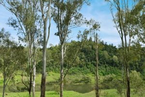 118 Skyline Drive, KHOLO, QLD 4306 AUS