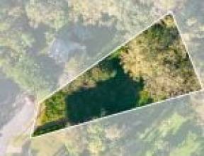 19 Surrey Road, BELLBIRD PARK, QLD 4300 AUS