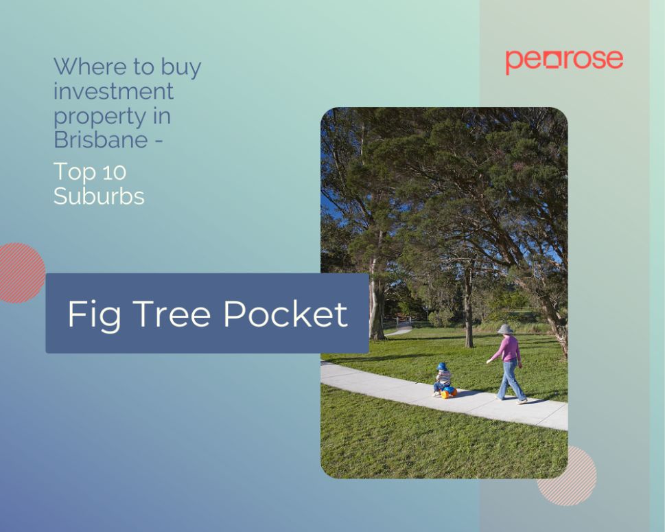 Fig Tree Pocket