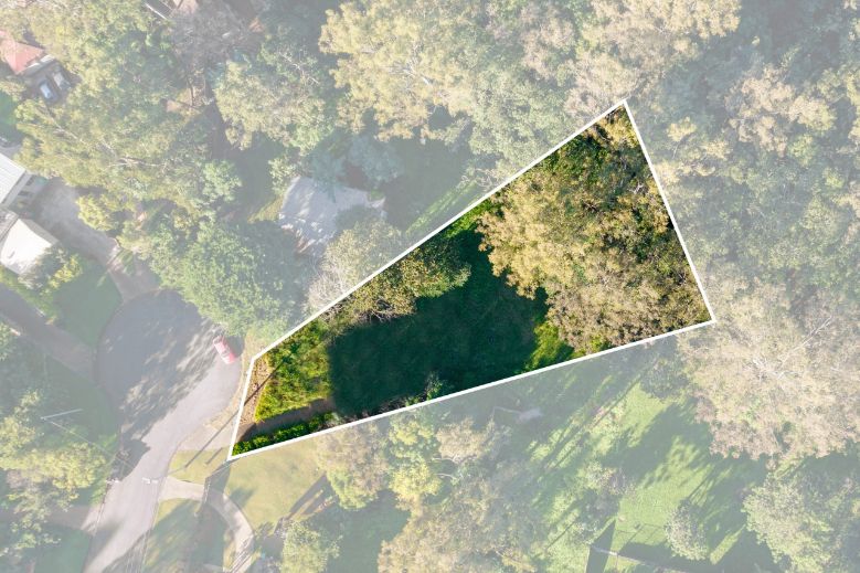 Arial view of trees in Brisbane suburb