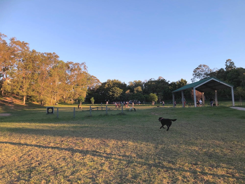 dog park in Ashgrove