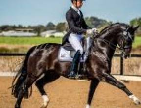 39 Oakridge Street, BURBANK, QLD 4156 AUS