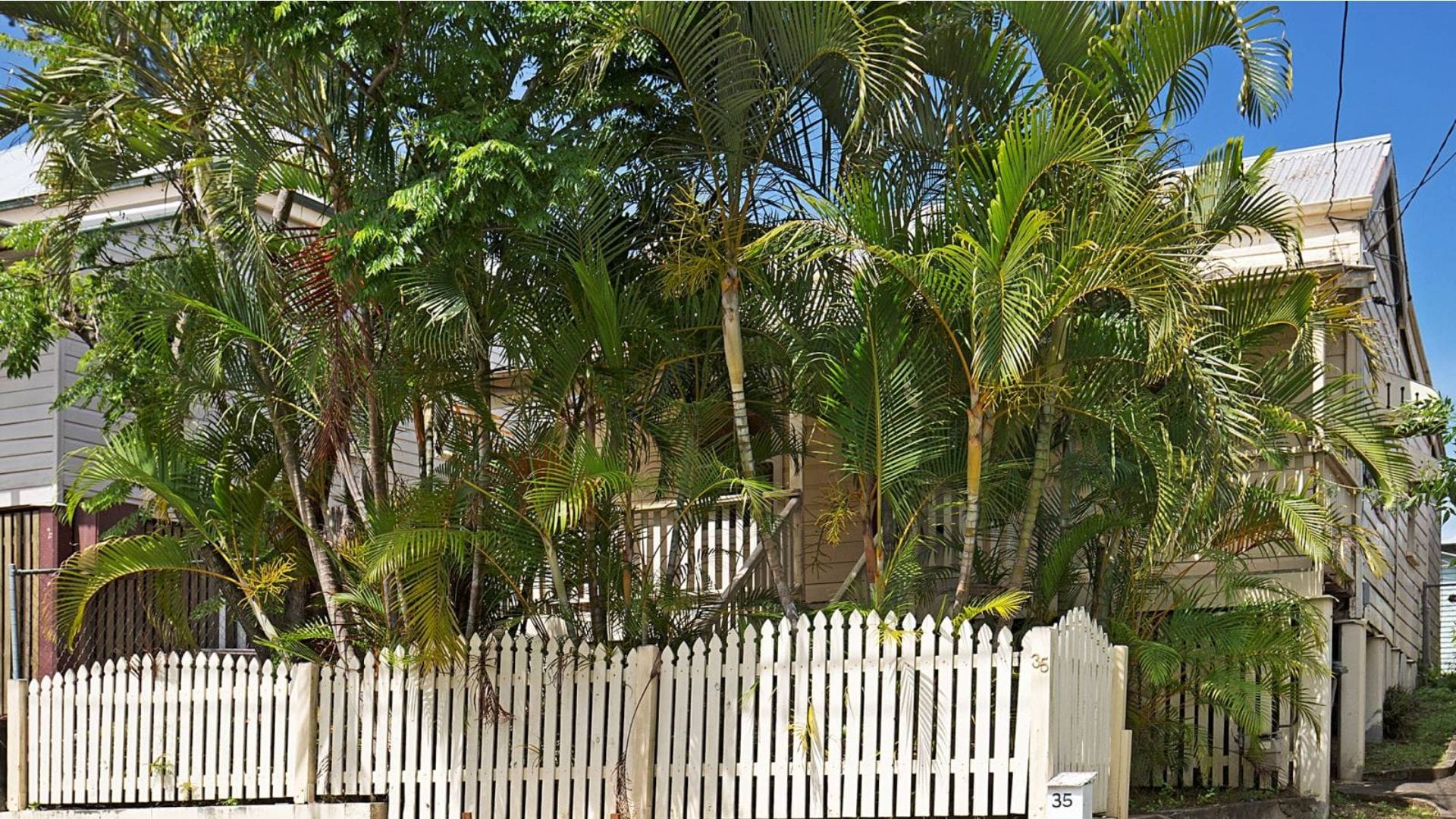 house for sale in Paddington from Penrose Real Estate