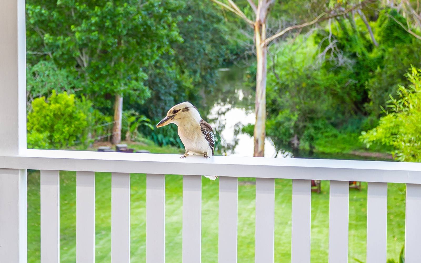 RED HILL, QLD 4059 AUS