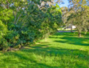 19 Surrey Road, BELLBIRD PARK, QLD 4300 AUS