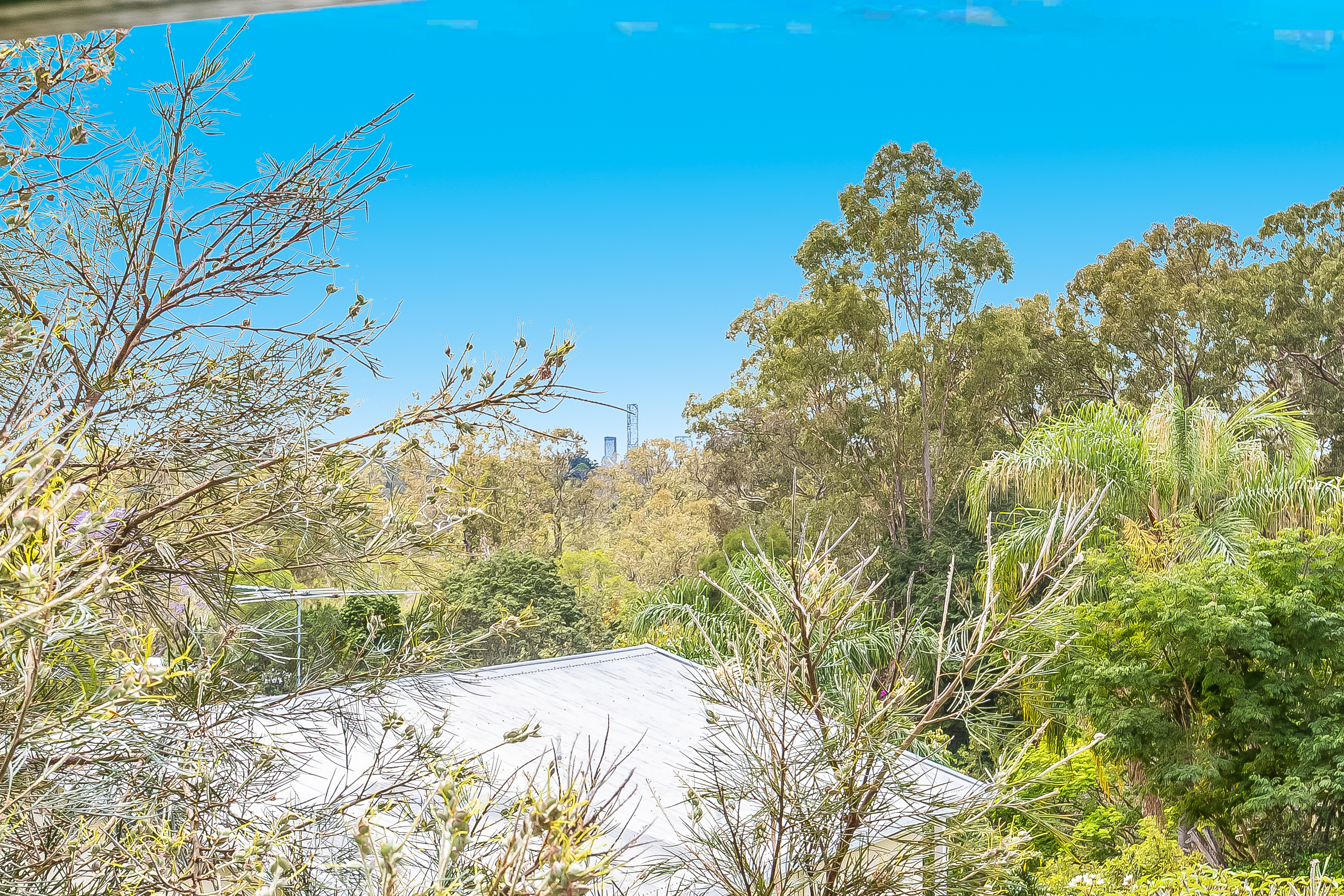 494 Fig Tree Pocket Road, FIG TREE POCKET, QLD 4069 AUS